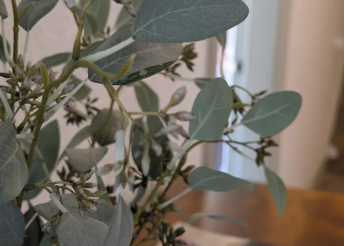 Two For Larger Group